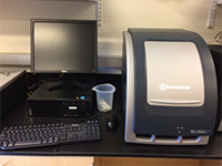 Stratagene Mx3005P qPCR System 