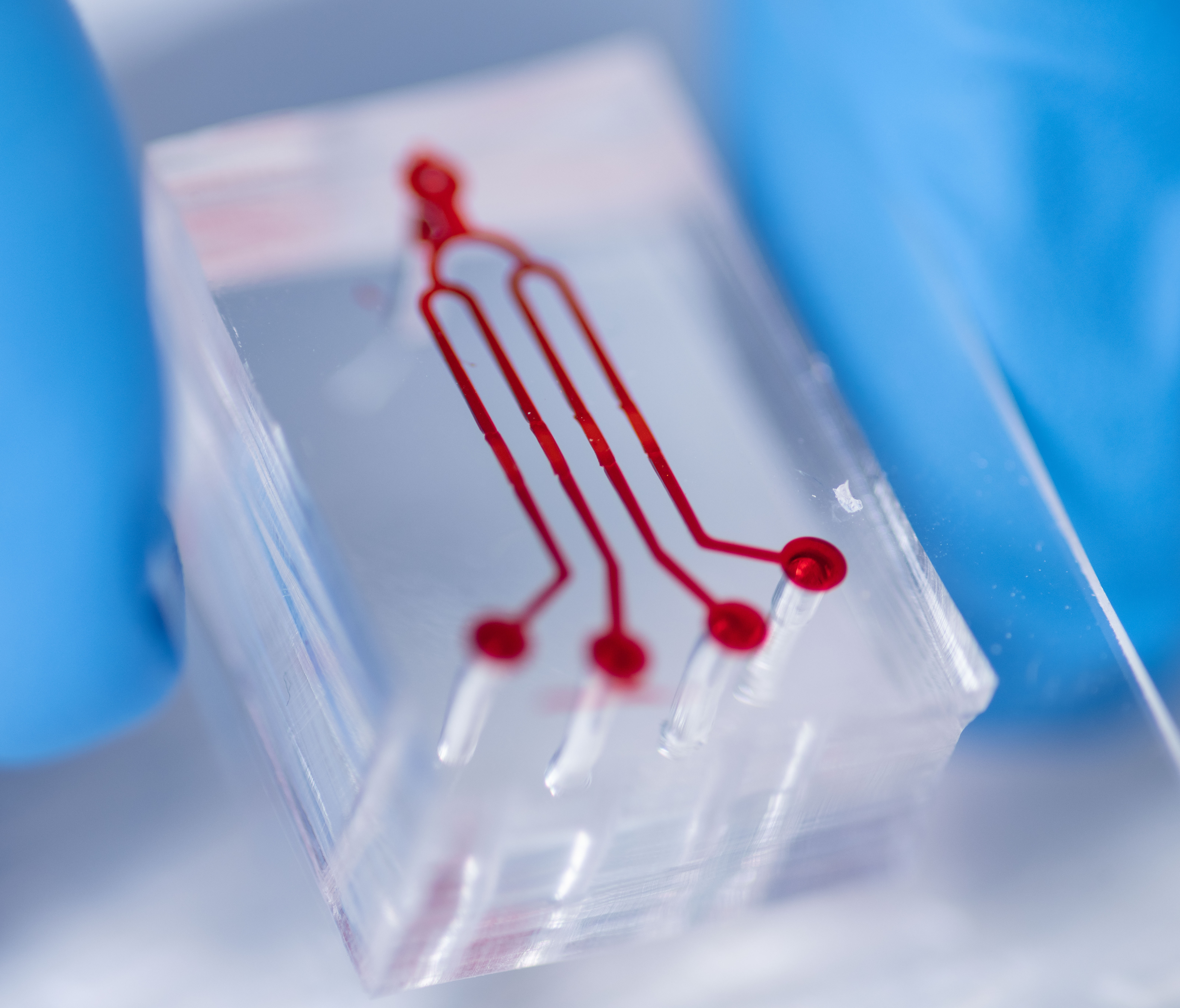 The microfluidic device the researchers use to quantify clot formation. 