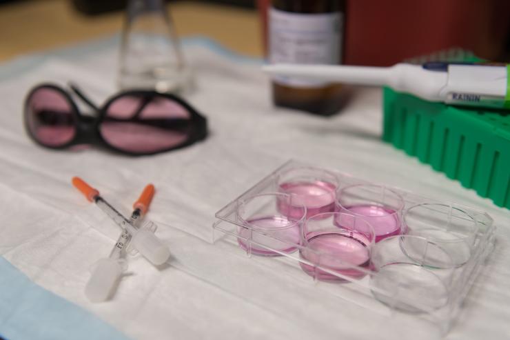 <p>On a workbench, samples are prepared for an <em>in vitro</em> check to make sure researchers can flip on a genetic switch they implanted in T-cells. Location: Gabe Kwong lab. Credit: Georgia Tech / Allison Carter</p>