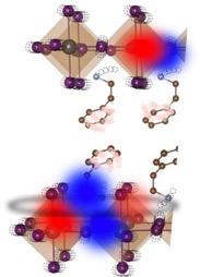 <p>Optoelectronic materials that can be painted on and work great at room temperature: Here a molecular depiction. HOIPs defy conventional wisdom about semiconductors. Their chemistry is incredibly wobbly, whereas semiconductors have been based so far on steady, rigid, nearly still chemistry. HOIPs also defy physics models researchers have tried to apply to explain them. Credit: Georgia Tech / Silva, Thouin</p>