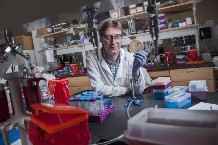 <p>Principal investigator Sam Brown holds a petri dish of common infectious bacteria in his lab at Georgia Tech. The orange tabletop bags are for the disposal of materials that may have come in contact with the infectors. Credit: Georgia Tech / Christopher Moore</p>