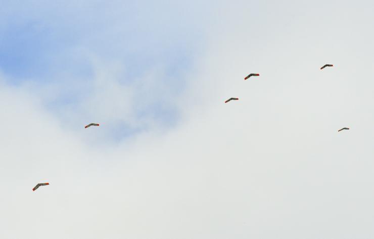 <p>Six Zephyr aircraft are shown in flight during a demonstration between two swarms of unmanned air vehicles. (U.S. Navy photo by Javier Chagoya)</p>