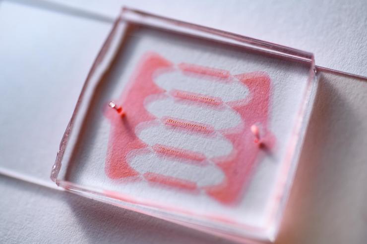 <p>Image shows a microfluidic chip to which dye has been added to show the channels. By treating living cells like tiny sponges, researchers have developed a potentially new way to introduce macromolecules and therapeutic genes into human cells. (Credit: Rob Felt, Georgia Tech)</p>