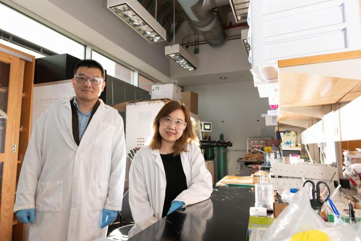 <p>Hailong Chen, an assistant professor in the George W. Woodruff School of Mechanical Engineering, and Xuetian Ma, a graduate research assistant, are shown in their laboratory. The researchers determined for the first time what controls formation of two different nanoscale crystalline structures in the metal cobalt. (Credit: Allison Carter, Georgia Tech)</p>