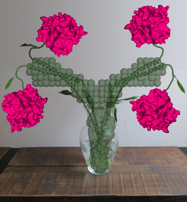 New Y-protein in myocilin as artistic flower arrangement