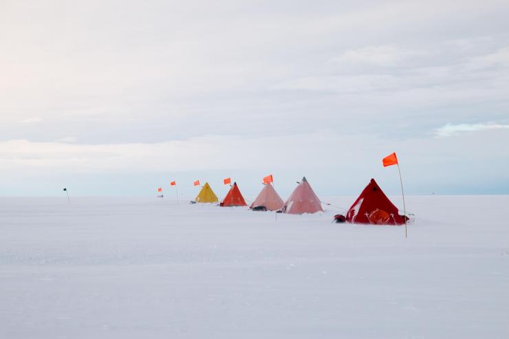 <p>Historic images: Faintly recognizable in the background is a section of Thwaites Glacier's grounding line, a zone pivotal to the glacier's stability or lack thereof and of the glacier's potential danger to sea-level rise. These first-ever images of the grounding zone were snapped by Icefin, the underwater autonomous vehicle engineered in Britney Schmidt's Georgia Tech lab. At top, the glacier, at bottom, the seafloor. Credit:  International Thwaites Glacier Collaboration / Georgia Tech-Schmidt lab</p>