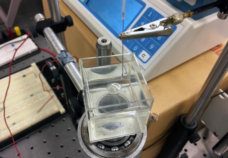 <p>A droplet forms in a rotating bath of silicone oil as a tiny needle injects a distilled water solution. The equipment can be used to create unstable toroidal droplets with differing dimensions. (Credit: John Toon, Georgia Tech)</p>