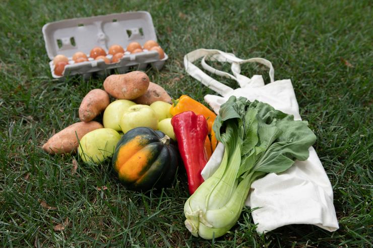 <p>This farm share delivery from September is an example of what to expect through the campus program.<br />
Photo by Allison Carter</p>