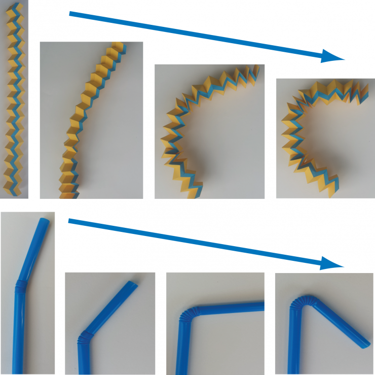 <p>Localized distortion in the origami tube can be used to bend the tube, which was initially straight, like a drinking straw.</p>