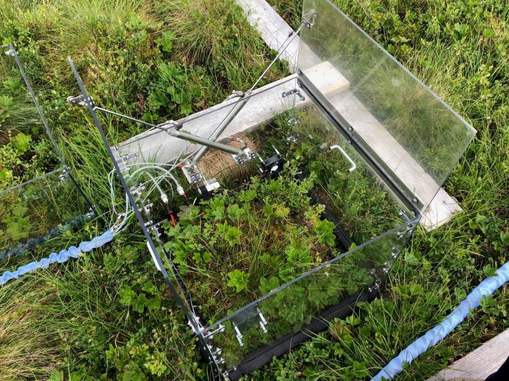 <p>Cumulative respiration from the tundra microbial communities was sampled during the month following removal of the soil cores. (Photo: Professor Ted Schuur, Northern Arizona University)</p>