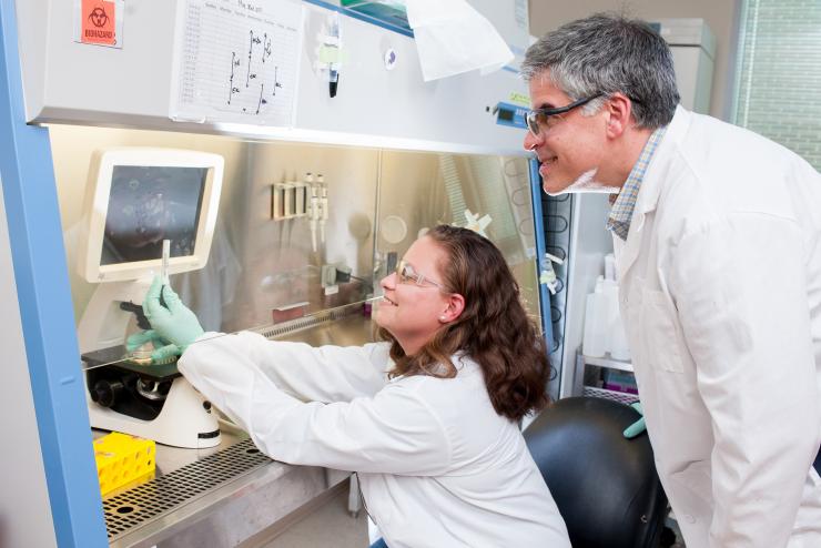 <p>Andrés García, a Regents’ Professor in the Woodruff School of Mechanical Engineering at the Georgia Institute of Technology and Jessica Weaver, a Georgia Tech postdoctoral researcher, discuss pancreatic islet cells being studied in their laboratory. (Credit: Christopher Moore, Georgia Tech)</p>