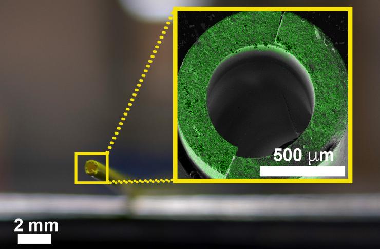 <p>This image shows an elemental map collected with electron microscopy of a fractured cross-section of hybrid hollow fiber membrane with a radius of about 500 μm. Green dots signify locations of the metal oxide within the membrane. This image shows that metal oxide infuses throughout the entire membrane. Microscopy was done by Fengyi Zhang at Georgia Tech’s Materials Characterization Facility.</p>