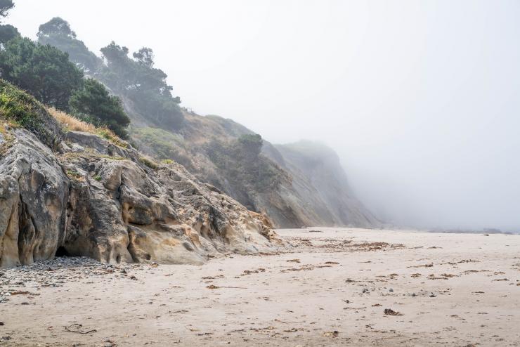 <p>Will Ratcliff got his inspiration to become a biologist in childhood after his parents took him and his brother Felix to spend their summers at family cabins in woodlands on the rocky Pacific coastline near Mendocino, California. The two boys spent their time in nature exploring living things.</p><p><em>Credit: Will Ratcliff</em></p>