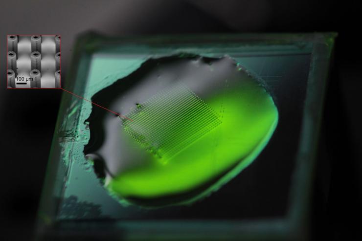 <p>Image shows a printed micropillar forest submerged in the photopolymer resist prior to development. The forest contains 900 micropillars over a 7 mm × 7 mm area and was printed in less than 90 minutes as compared to more than a day of printing with serial techniques. (Credit: Vu Nguyen and Sourabh Saha)</p>