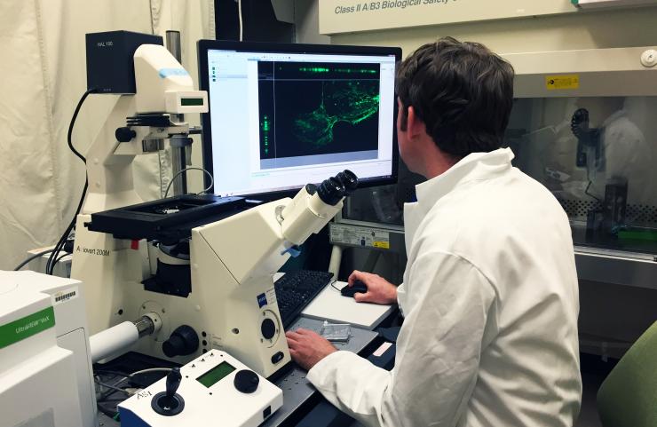 <p>By growing cells on mirrors and imaging them using super-resolution microscopy, scientists from Georgia Tech, Peking University and the University of Technology Sydney have addressed a problem that has long challenged scientists: Seeing 3-D structures of cells with comparable resolution in each dimension. This improved view could help researchers differentiate between structures that appear close together with existing microscope technology – but are actually relatively far apart within the cells.</p>