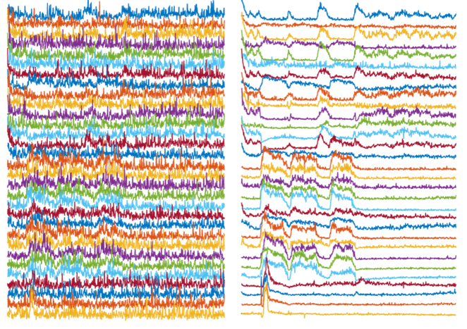 <p><em>Left: Activity traces of neurons from noisy videos, with noise masking real activities of interest. Right: Activity traces of neurons from NIDDL Deep Denoised videos unmasking the activities of interest.</em></p>