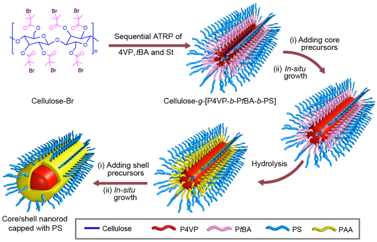 Schematic of core-shell nanorod