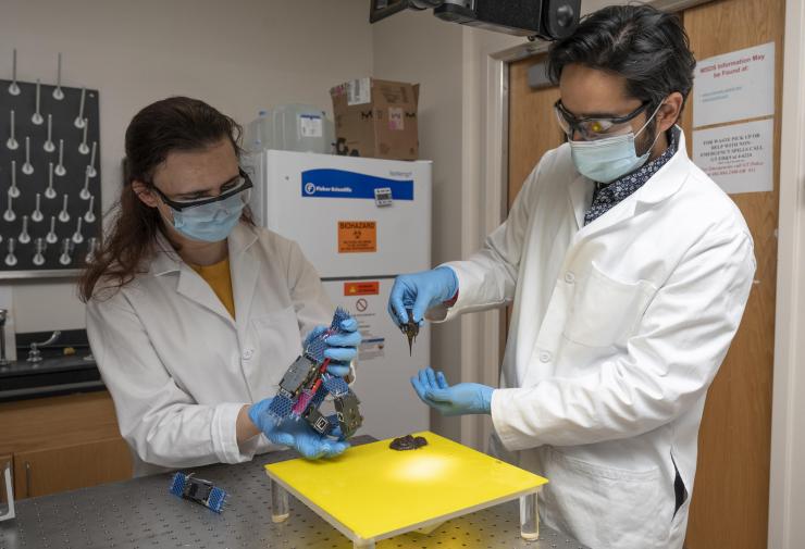 Georgia Tech research associate Yasemin Ozkan-Aydin holds a smarticle blob while Georgia Tech Assistant Professor Saad Bhamla holds a worm blob. The robots and worms are used in research into self-organization that creates surprising collective behaviors. (Credit: Christopher Moore, Georgia Tech)