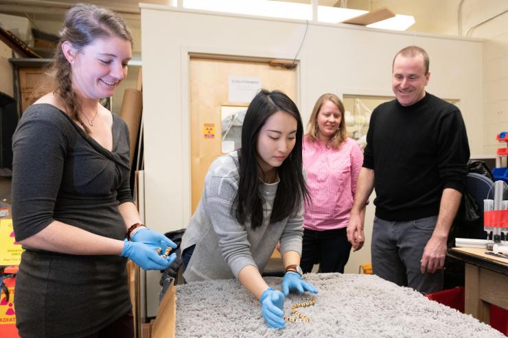 <p>Snakes slithering across the desert sand at night can encounter obstacles such as plants or twigs that alter the direction of their travel. While studying that motion to learn how limbless animals control their bodies in such environments, Georgia Tech researchers discovered that snakes colliding with an obstacle behave much like light waves encountering an optical diffraction grating. What they learned could improve the control systems of future snake-like robots.</p>