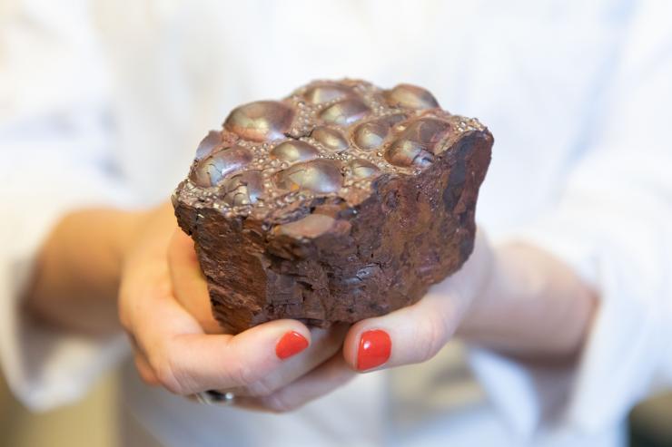 <p>Stromatolitic ironstone full of bound iron. The bubble-like shapes come from bacterial action. An eon ago, oceans appear to have been full of ferrous iron, which would have facilitated production of N2O (laughing gas). Credit: Georgia Tech / Allison Carter</p>