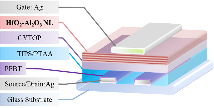 <p>Schematic shows a cross-section of a new organic transistor architecture that yields unprecedented stability. The device was developed by a team of scientists at Georgia Tech. (Credit: Xiaojia Jia, Georgia Tech)</p>