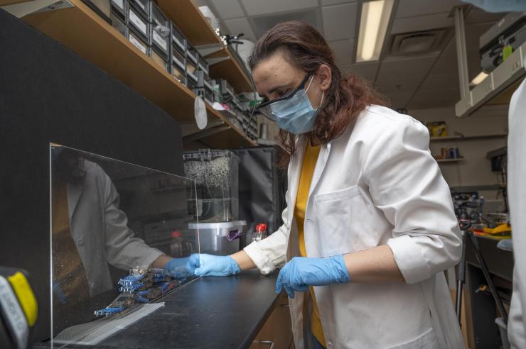 Georgia Tech research associate Yasemin Ozkan-Aydin demonstrates how smart active matter particles (smarticles) interact to form a robot blob. (Credit: Christopher Moore, Georgia Tech)