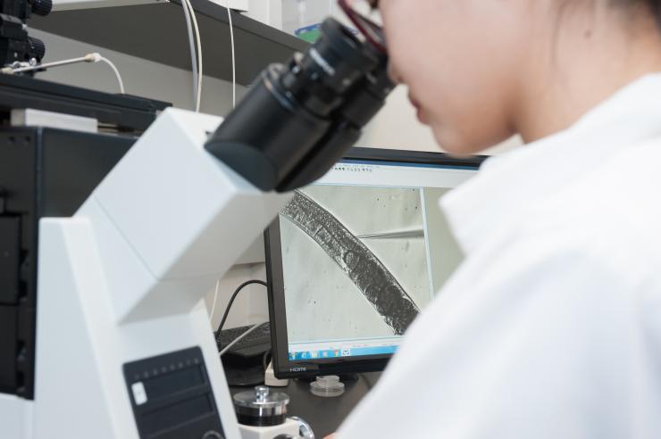 <p>Georgia Tech researcher Patrick McGrath holds up a dish containing microscopic <em>C. elegans</em> roundworms. In a novel discovery, McGrath linked vast life history trade-offs to a single, tiny mutation. On the screen, the magnification of a <em>C. elegans</em> being injected with CRISPR Cas9 to confirm the mutation's effects.</p>