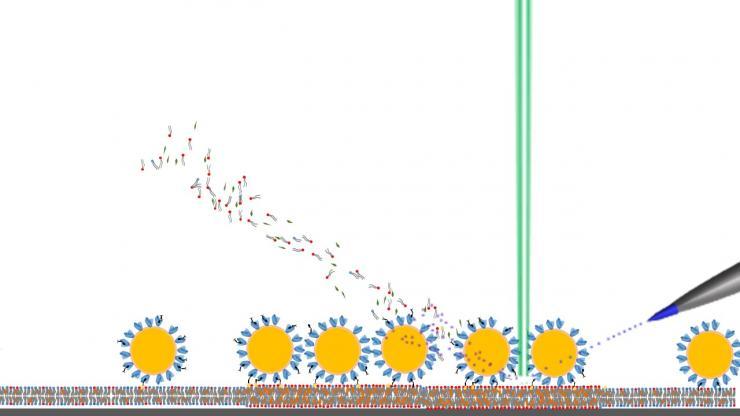 BeamMap uses an electron beam to image topology, provide localized heating to promote desorption and allow precise determination of the location of the spray capillary and electrospray impact area for imaging. The electrosprayed liquid beam at a controlled energy level is used to desorb and charge analytes for chemical imaging in BeamMap.