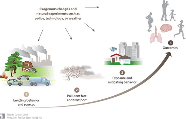 Simple schematic documenting the path of air pollution from emissions to outcomes. This review discusses the challenges of measuring how emissions of pollutants (step 1) disperse through the air (step 2) to become eventual exposures (step 3) and health outcomes (step 4).