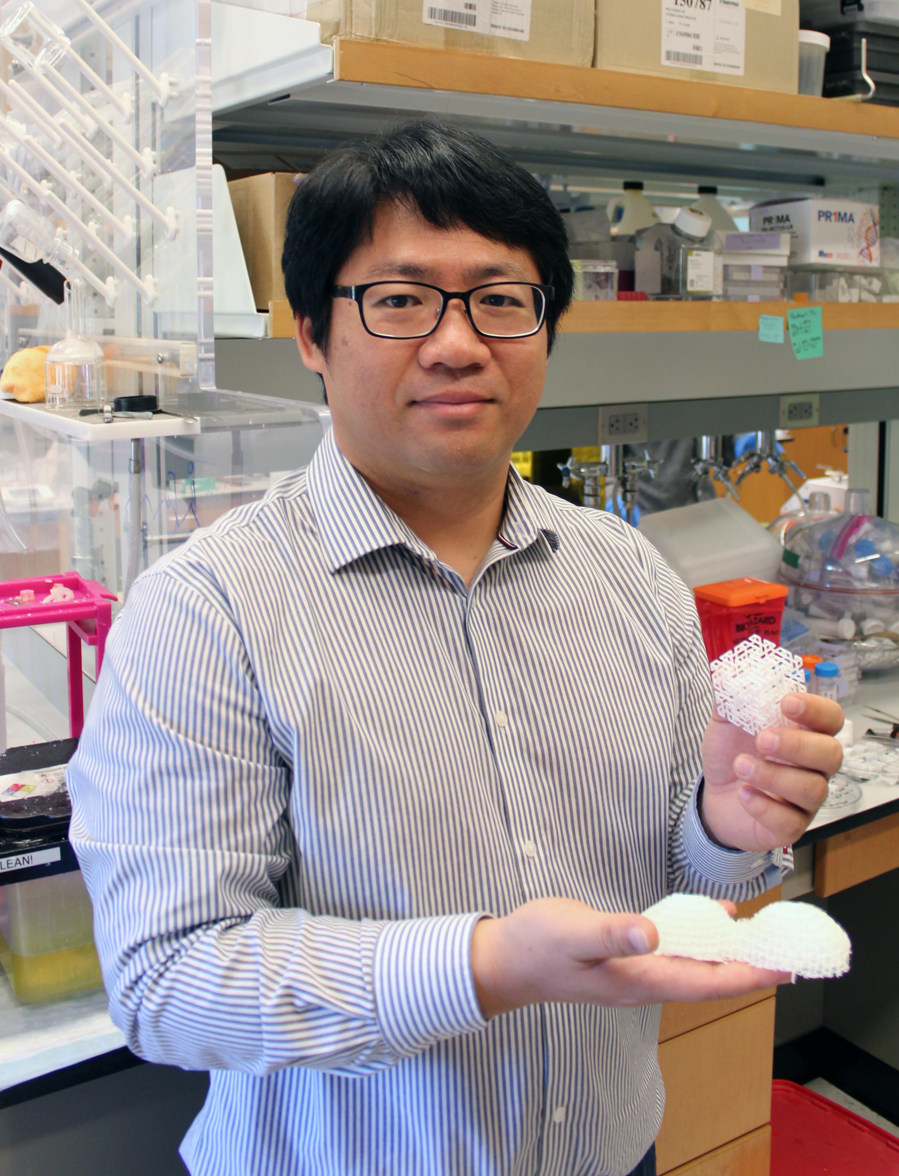 Hollister Lab Develops 3D Printing for Soft Tissue Engineering Research