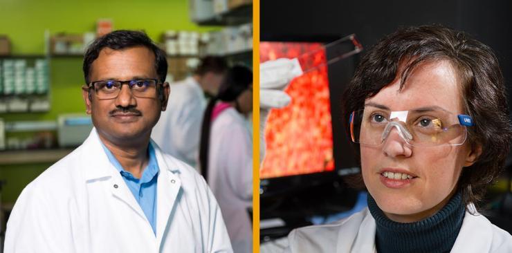 <p>Professors <strong>Krishnendu Roy</strong> and <strong>Johnna Temenoff</strong> have won Georgia Tech’s award for Outstanding Achievement in Research Program Development in 2020.</p>