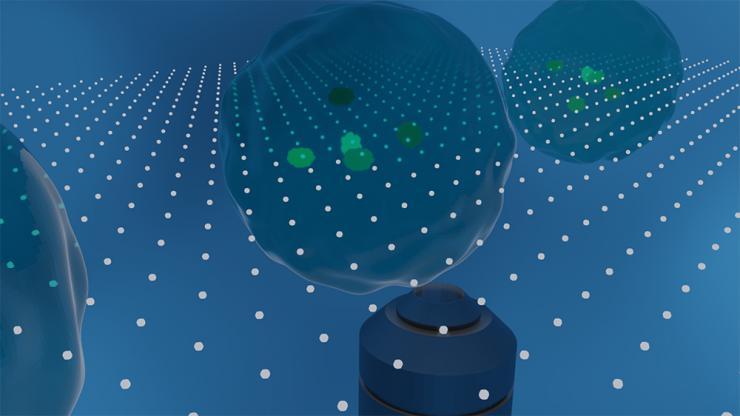 <p>Illustration of super-resolution optofluidic scanning microscopy, which allows for imaging of living cells in flow. (Illustration Courtesy: Shu Jia)</p>