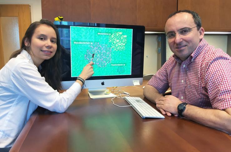 <p>Georgia Tech Doctoral Student Maria Juliana Soto-Girón and School of Civil and Environmental Engineering Professor Kostas Konstantinidis are shown with images of bacteria. Research done with scientists from the U.S. Environmental Protection Agency documented bacteria in shower hoses taken from hospital patient rooms. (Credit: John Toon, Georgia Tech).</p>