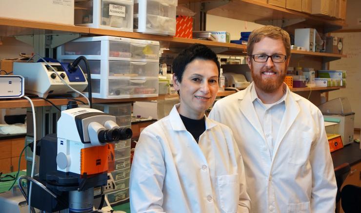 Brandon Dixon, researcher in the School of Mechanical Engineering, with Dr. Zhanna Nepiyushchikh in the lab. 