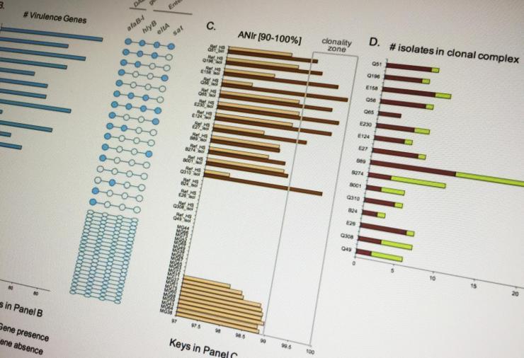 <p>Using advanced metagenomics techniques, researchers have found that conventional culture- based lab tests may often misdiagnose the microbial causes of diarrheal diseases in children. The study, based on samples from Ecuadorian children, also found that a common strain of the E. coli bacterium may be more virulent than previously believed.</p>