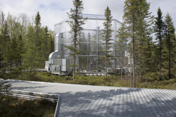 <p>A plot with enclosure at the SPRUCE peat bog climate change experiment in northern Minnesota. Credit: Georgia Tech / Ben Brumfield</p>