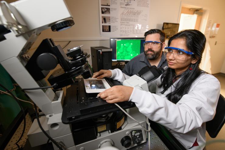 <p>Georgia Tech Associate Professor Matthew Torres and Doctoral Candidate Shilpa Choudhury are shown with images showing cells with a localized green fluorescent protein signal at the membrane. (Credit: Rob Felt, Georgia Tech)</p>