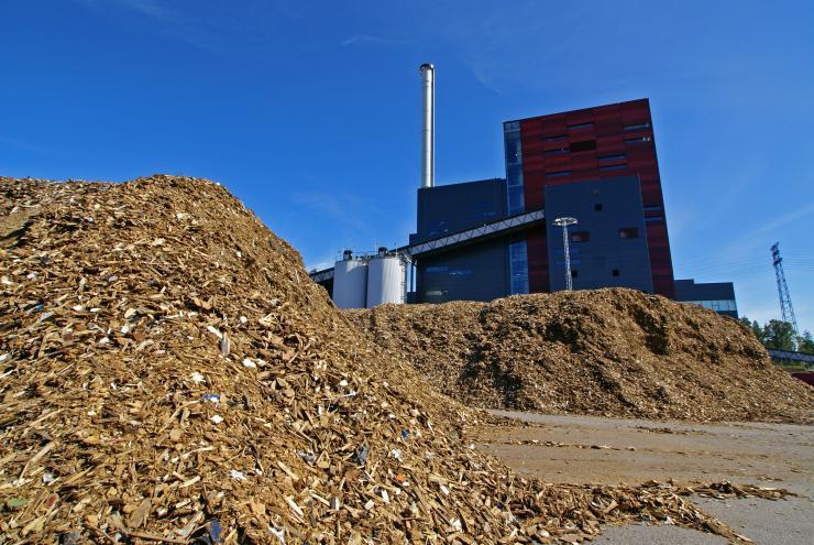 <p>Stock image of a wood-burning biomass energy plant.</p>