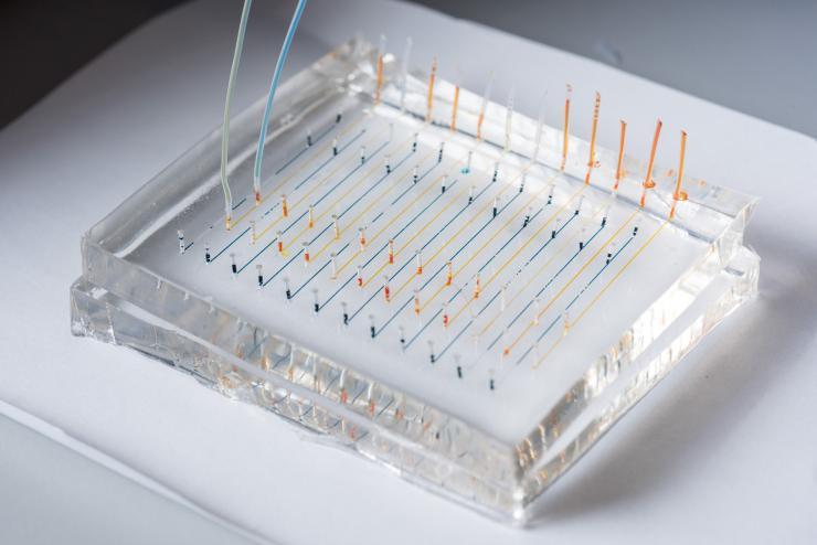 <p>Close-up image shows a microfluidic chip used to fabricate nanoparticles that could be used to deliver therapeutic genes to specific organs of the body. Colored liquids have been added to highlight the channels. (Credit: Rob Felt, Georgia Tech)</p>