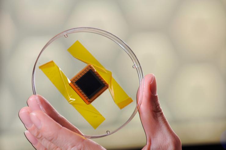 <p>Photo shows a solar cell produced for space testing of new types of photovoltaic cell materials aboard the International Space Station. (Credit: Gary Meek, Georgia Tech)</p>